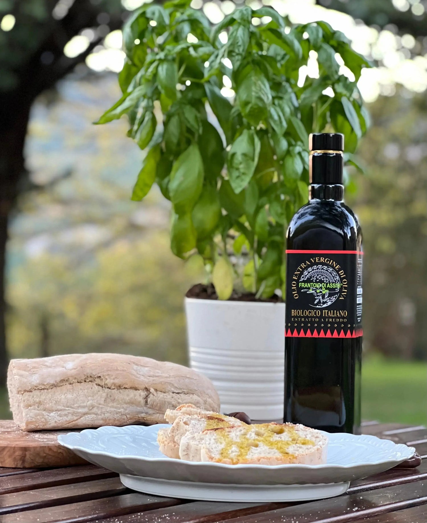 Olio Biologico extra vergine di oliva - estratto a freddo