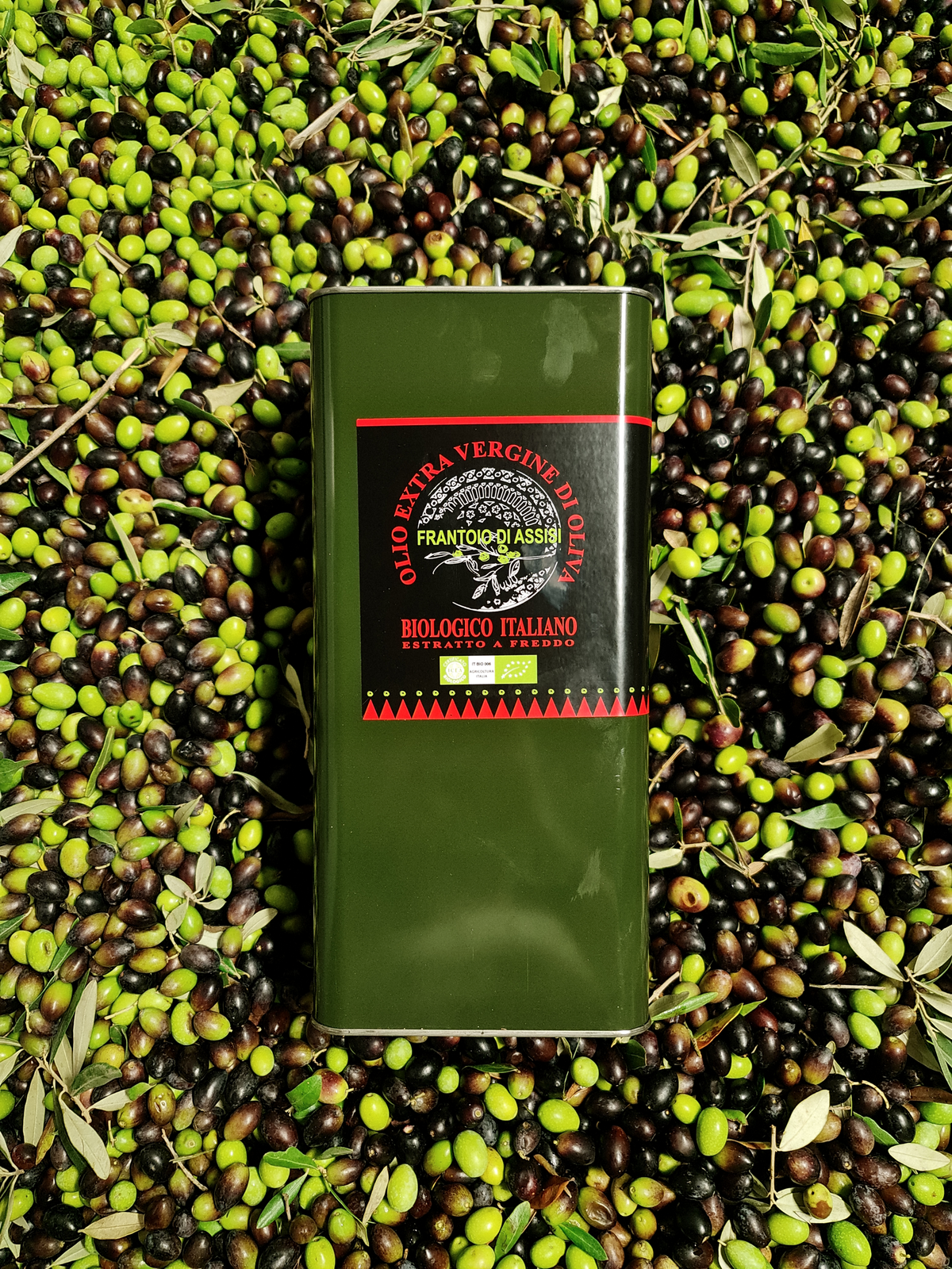 Organic Extra Virgin Olive Oil – 5 L tin